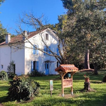 Gites-Cyclistes-Léon Exterior photo
