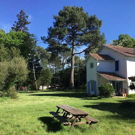 Gites-Cyclistes-Léon Exterior photo